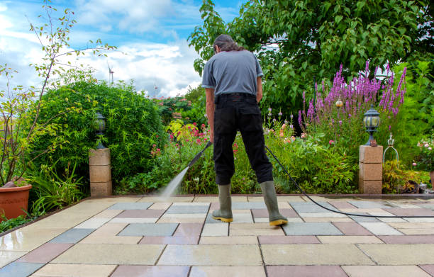 Animal Enclosure Cleaning in Olympia, WA